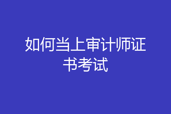 如何当上审计师证书考试