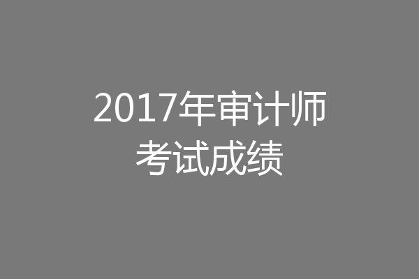 2017年审计师考试成绩