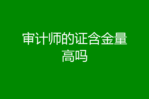 审计师的证含金量高吗