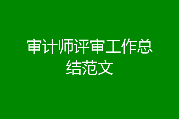 审计师评审工作总结范文