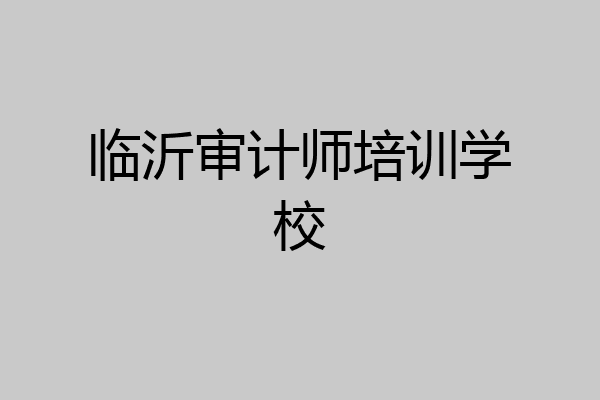 临沂审计师培训学校