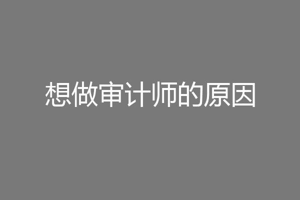 想做审计师的原因
