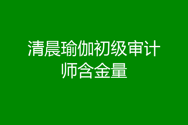 清晨瑜伽初级审计师含金量
