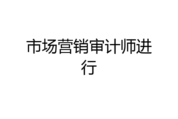 市场营销审计师进行