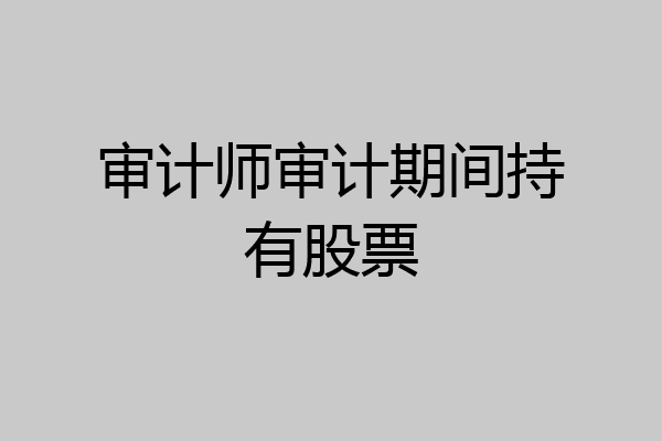 审计师审计期间持有股票