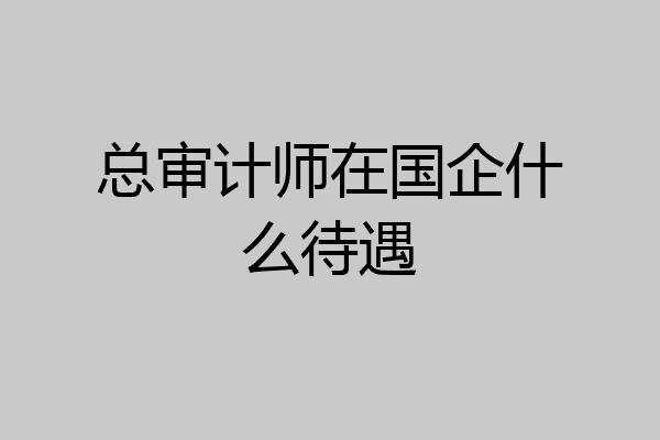 总审计师在国企什么待遇