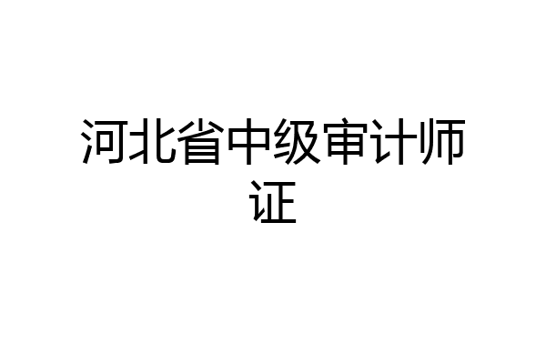 河北省中级审计师证