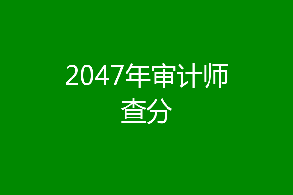 2047年审计师查分