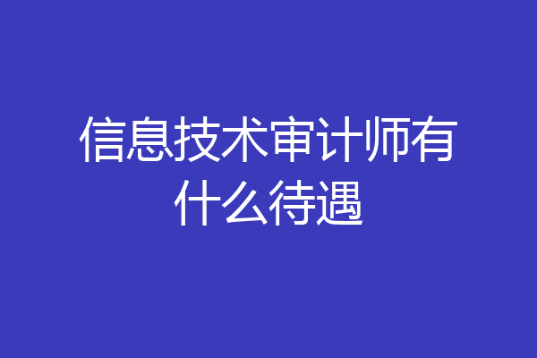 信息技术审计师有什么待遇