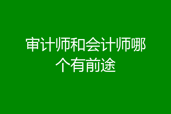 审计师和会计师哪个有前途