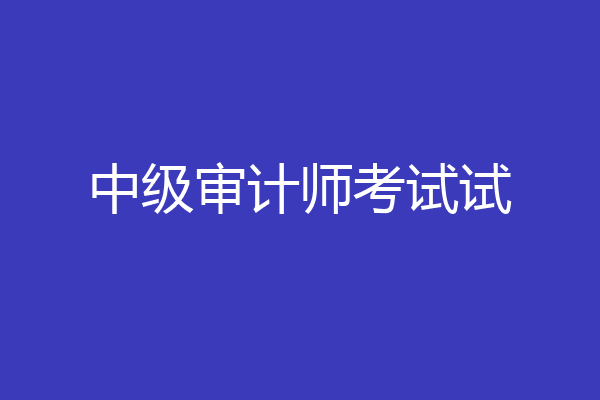 中级审计师考试试