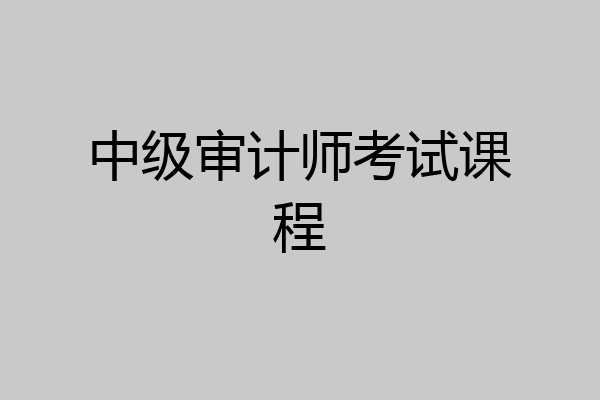 中级审计师考试课程