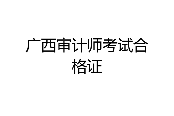 广西审计师考试合格证