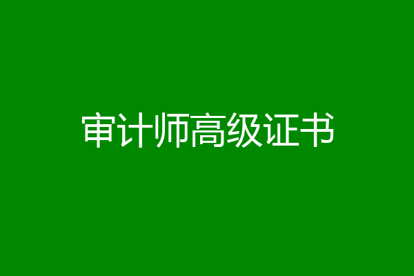 审计师高级证书