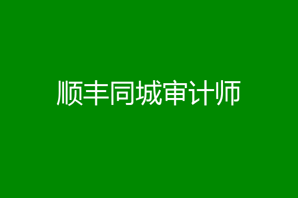 顺丰同城审计师