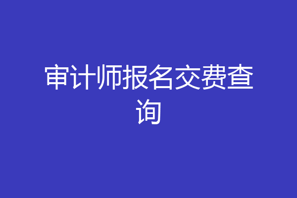 审计师报名交费查询