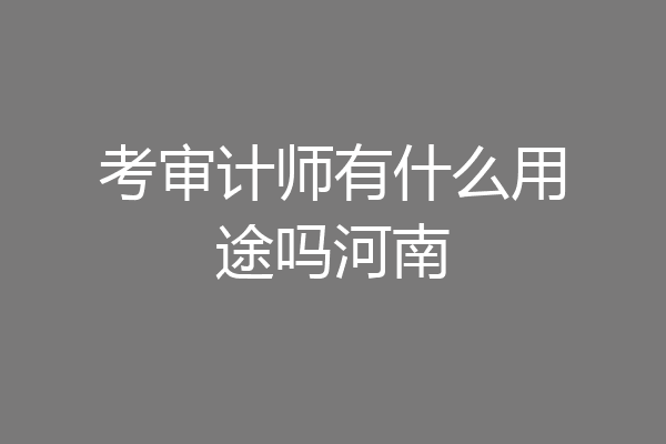 考审计师有什么用途吗河南