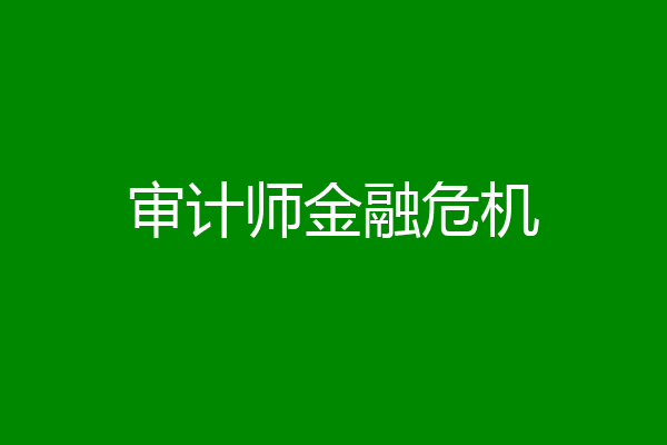 审计师金融危机