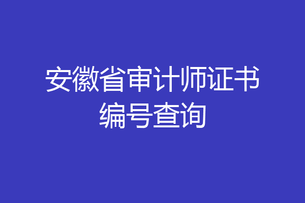 安徽省审计师证书编号查询