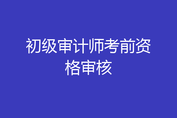 初级审计师考前资格审核