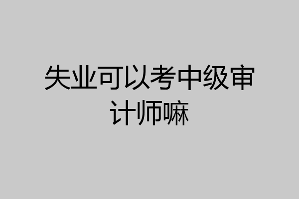 失业可以考中级审计师嘛