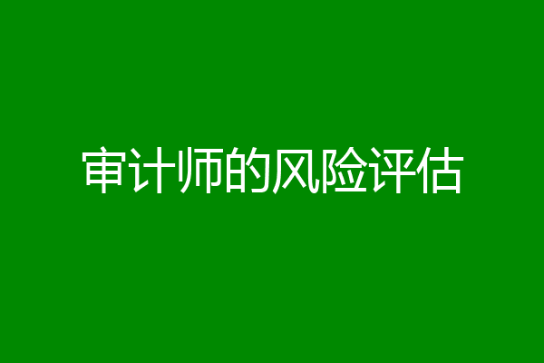 审计师的风险评估