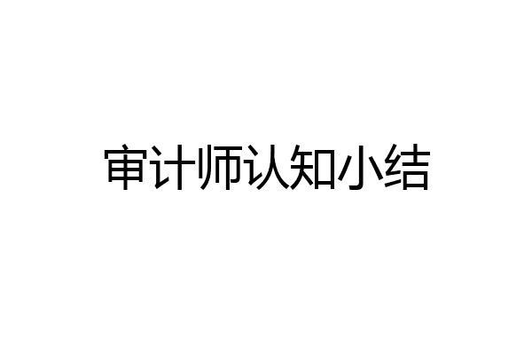 审计师认知小结