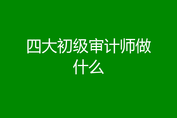 四大初级审计师做什么