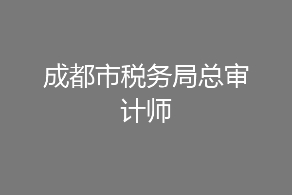 成都市税务局总审计师