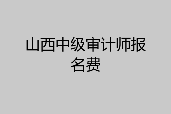 山西中级审计师报名费