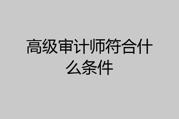高级审计师符合什么条件