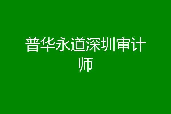 普华永道深圳审计师