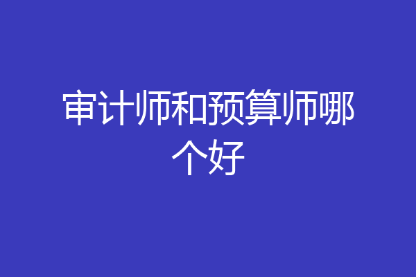 审计师和预算师哪个好