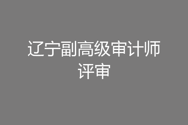 辽宁副高级审计师评审