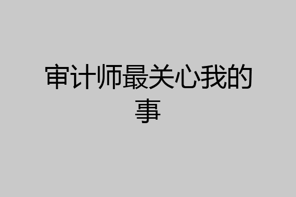 审计师最关心我的事