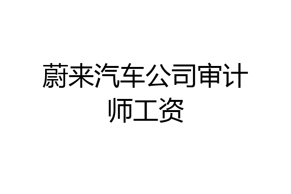 蔚来汽车公司审计师工资