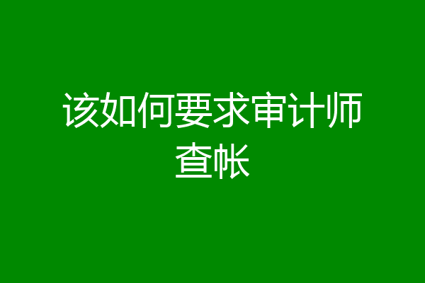 该如何要求审计师查帐