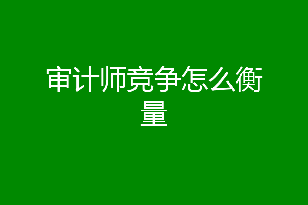 审计师竞争怎么衡量