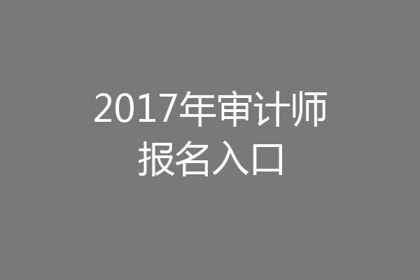 2017年审计师报名入口