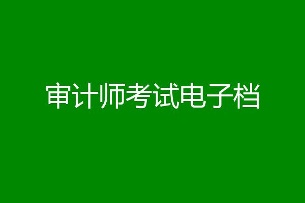 审计师考试电子档
