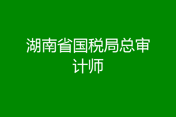 湖南省国税局总审计师