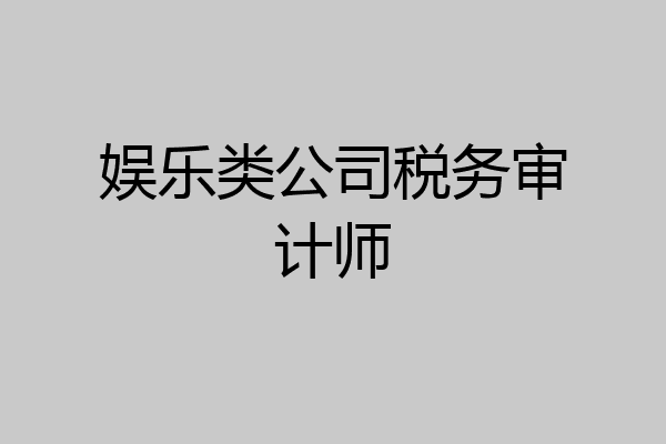 娱乐类公司税务审计师