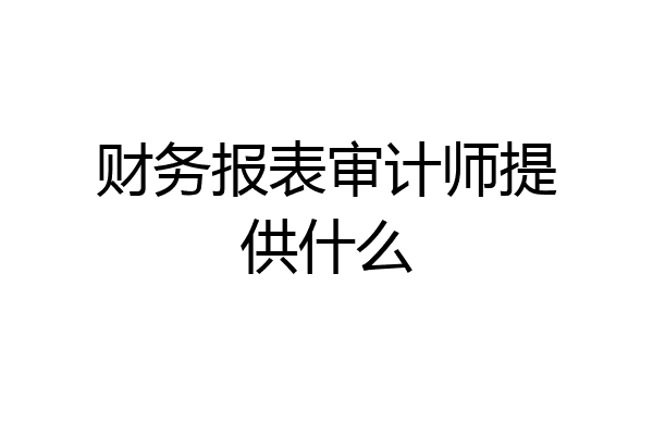 财务报表审计师提供什么