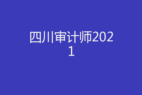 四川审计师2021