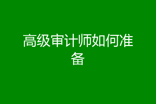 高级审计师如何准备