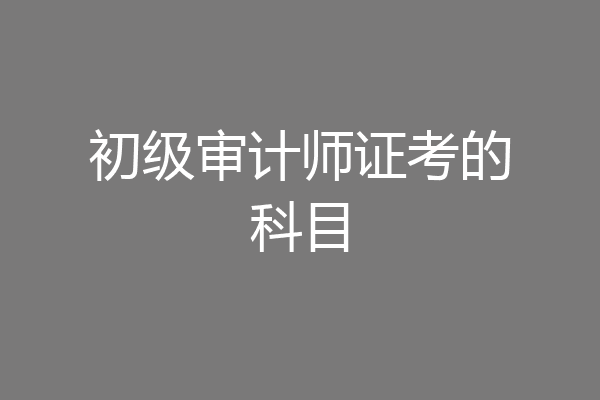 初级审计师证考的科目
