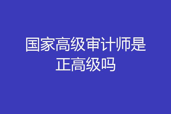 国家高级审计师是正高级吗