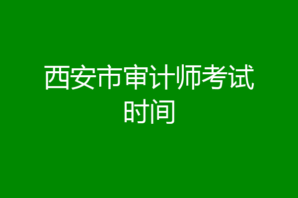 西安市审计师考试时间