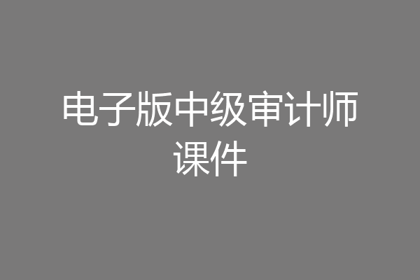 电子版中级审计师课件