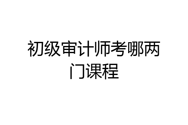 初级审计师考哪两门课程